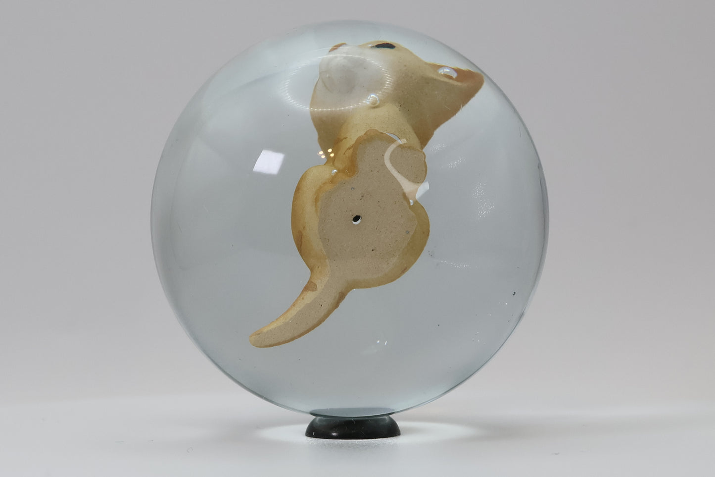 Contemporary colored Sulphide Marble - Cat 2" Mint