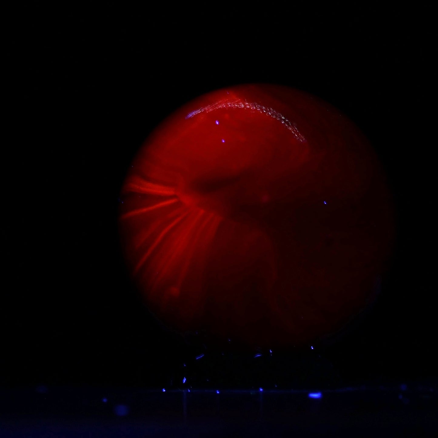 7/8" Ruby Red Master marble Opaque Pink UV NM
