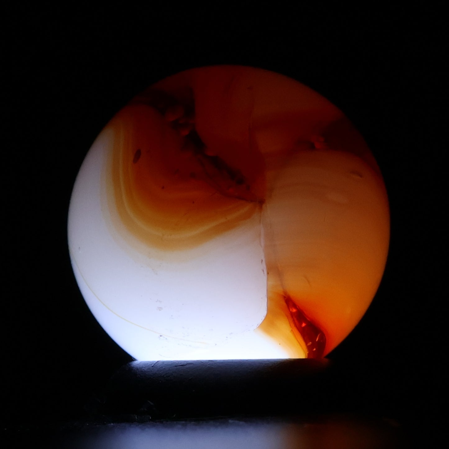 5/8" Off Round Peltier Bloody Rainbo Marble NM++