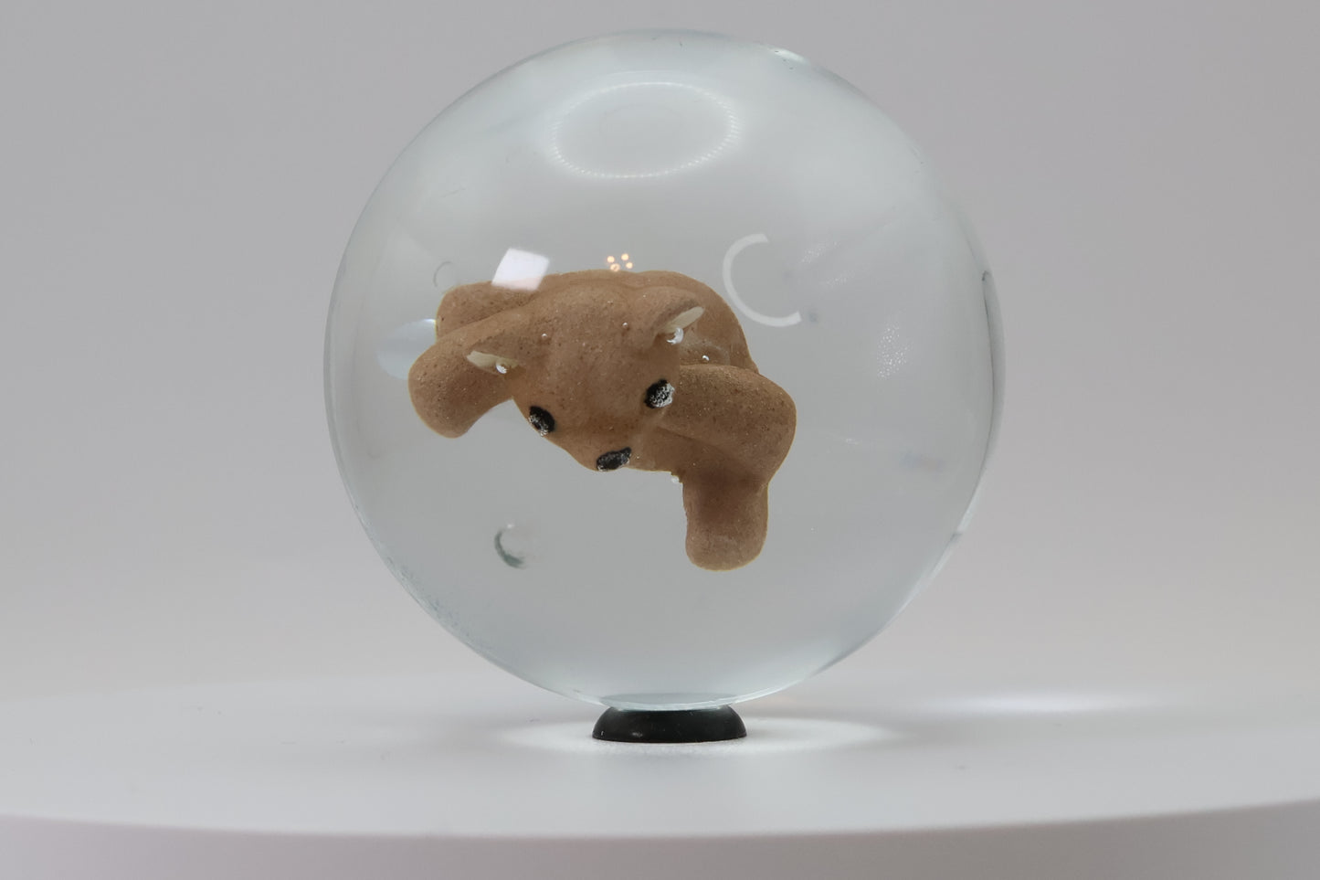 Contemporary colored Sulphide Marble - Teddy Bear 2.25" NM-