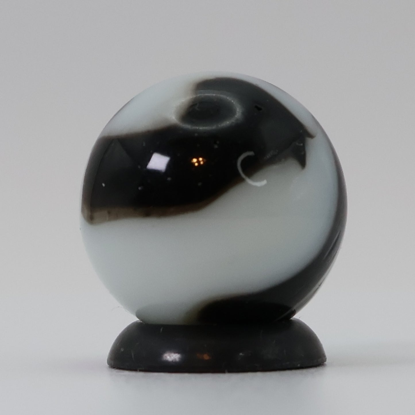 5/8" Peltier NLR Black Zebra drenched in AV great swirl pattern M-
