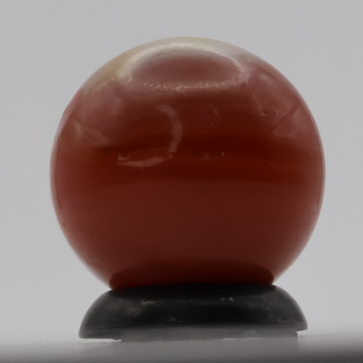 5/8" Peltier Rainbo TOMATO NM++