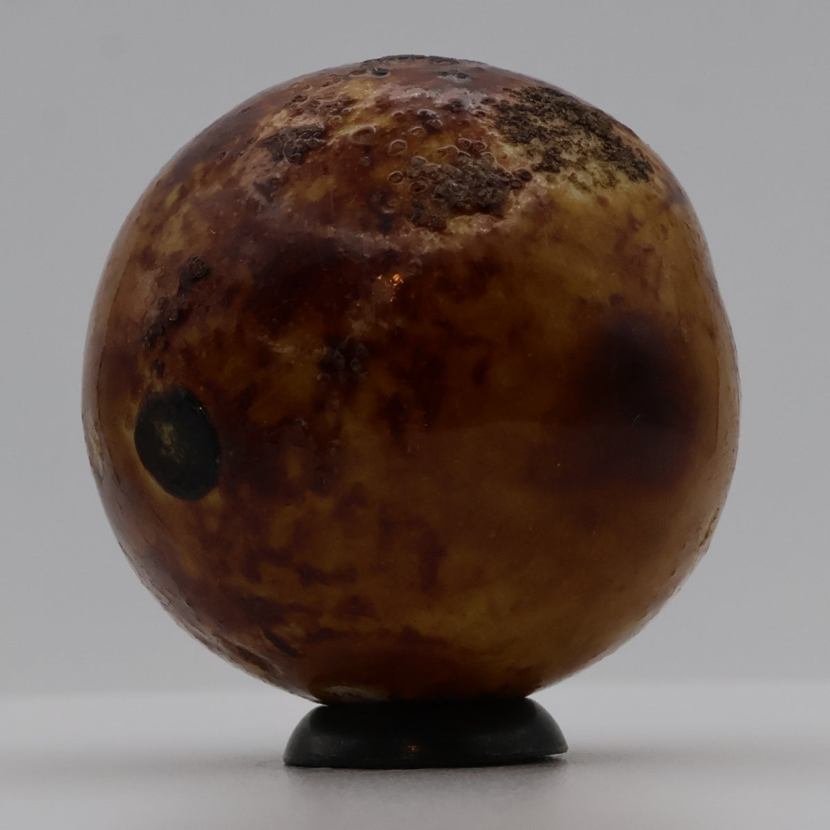 1 3/16" Vintage Glazed Bennington Marble MINT