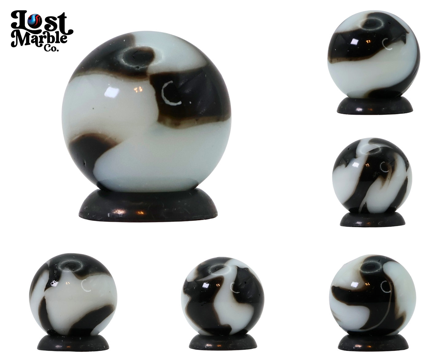 5/8" Peltier NLR Black Zebra drenched in AV great swirl pattern M-